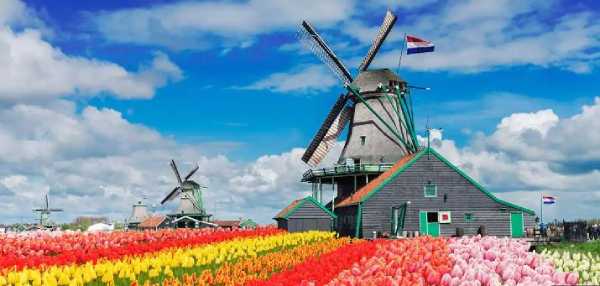 مهاجرت به هلند